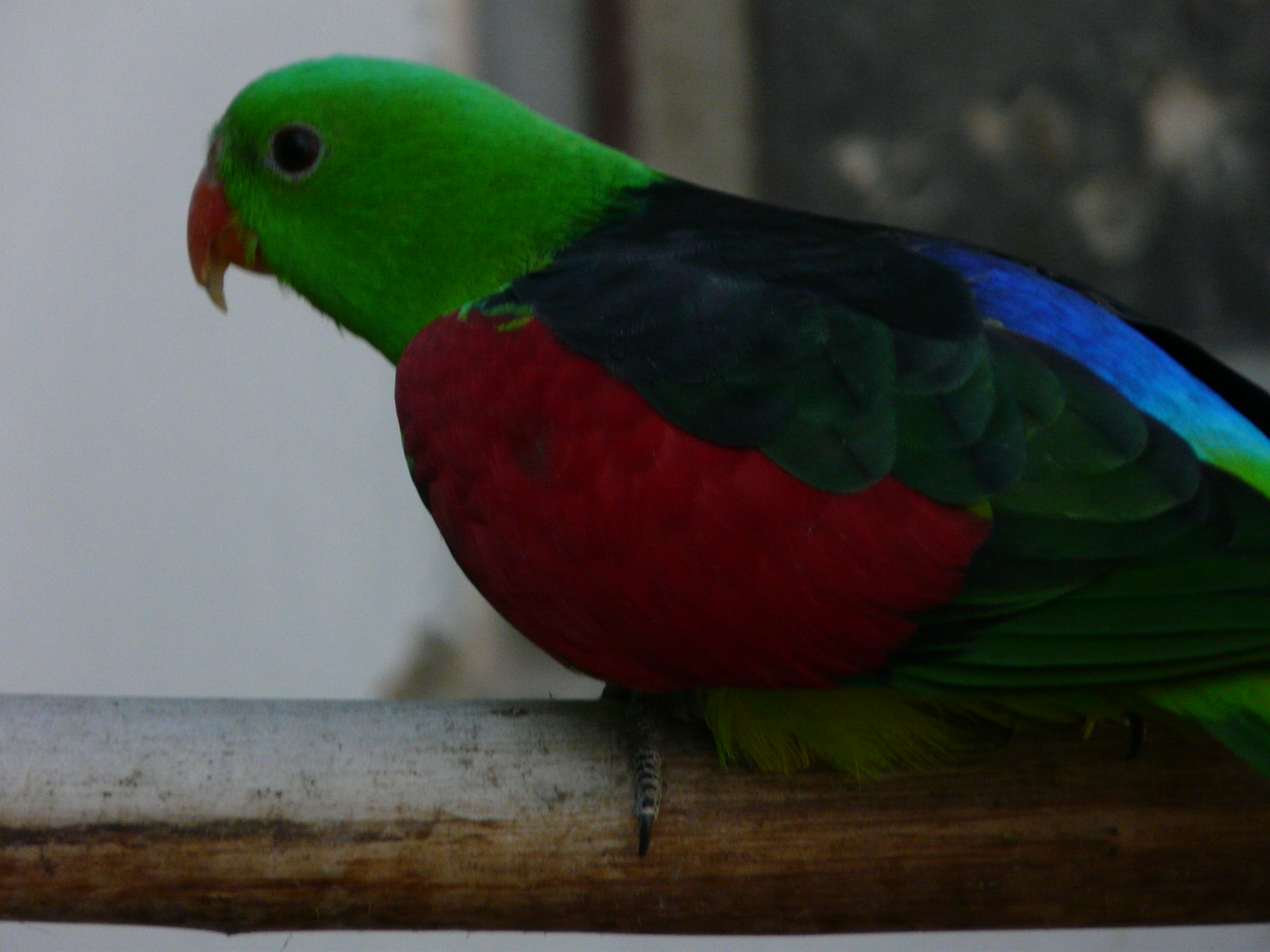 FOTO 6