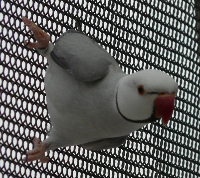 Foto 8