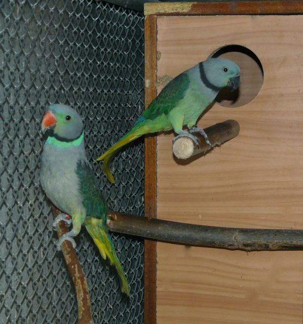 FOTO 14