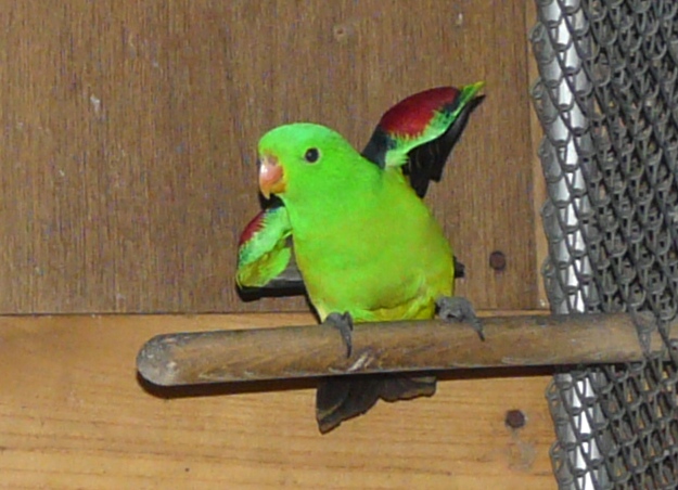 Foto 14