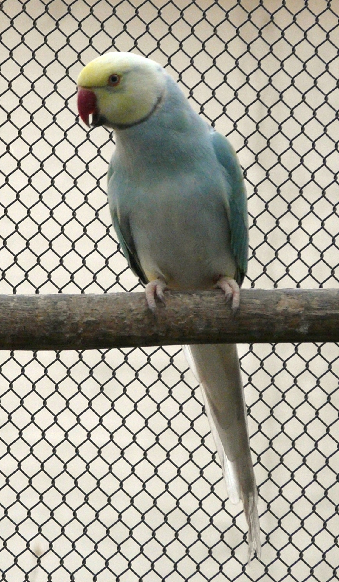 P1460996