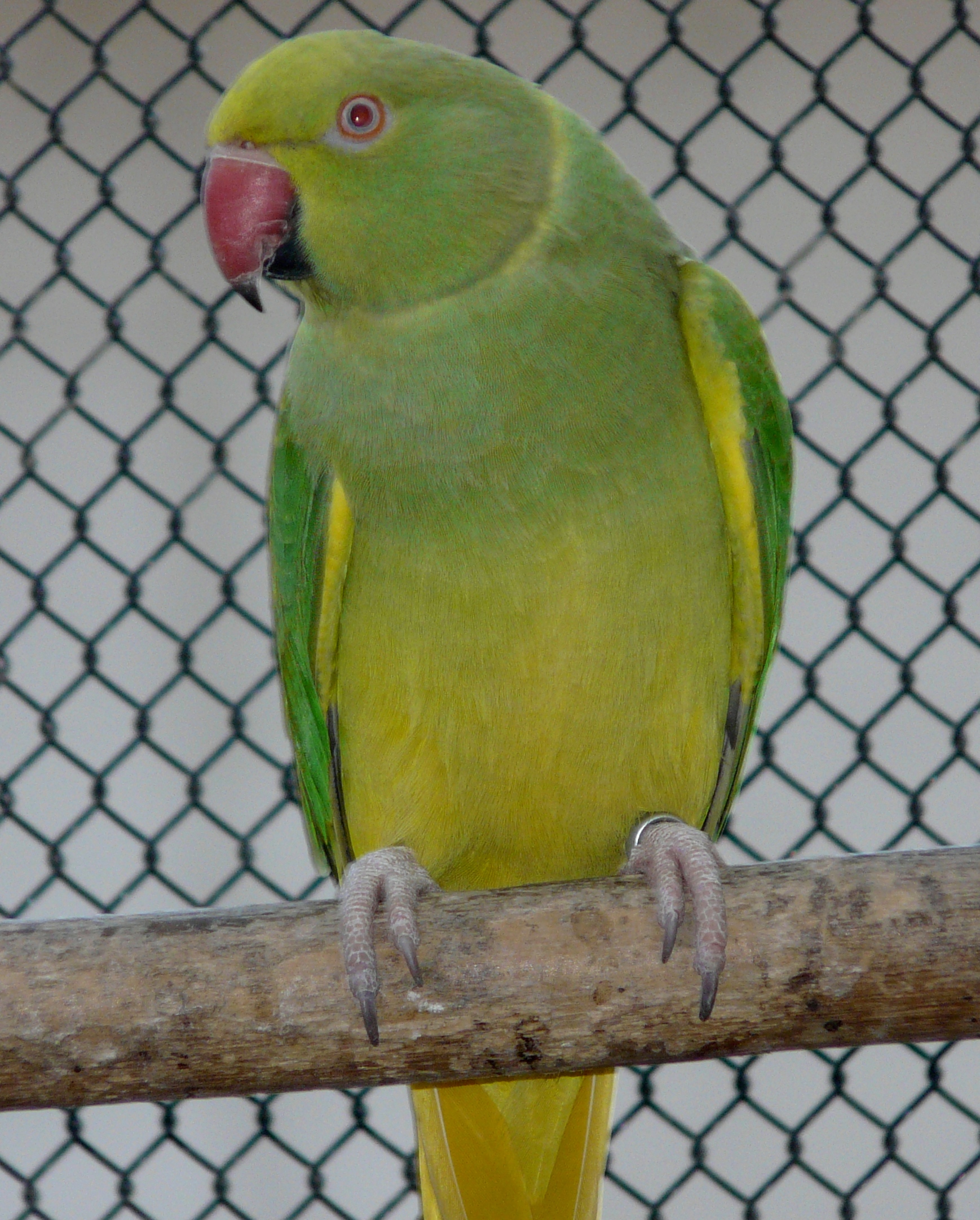 P1470001