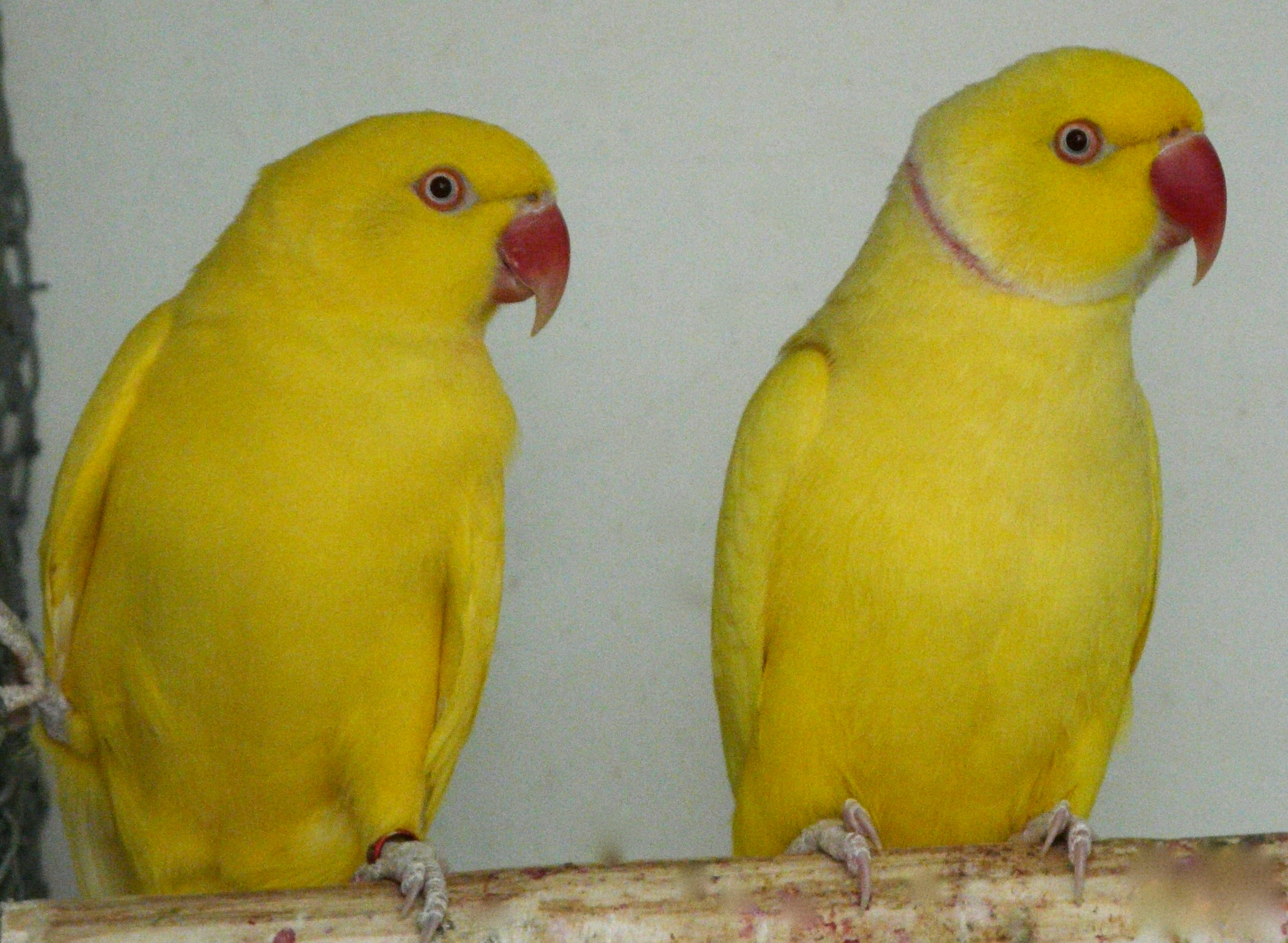 P1470039