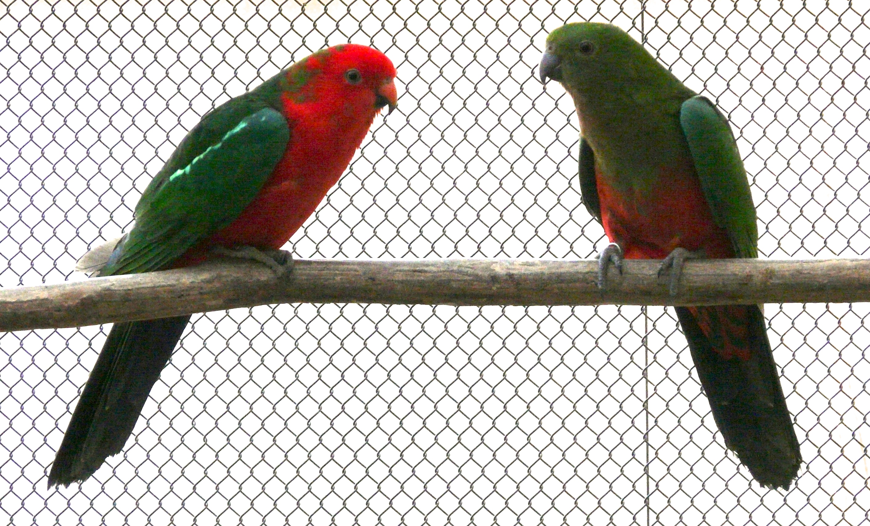 P1470008