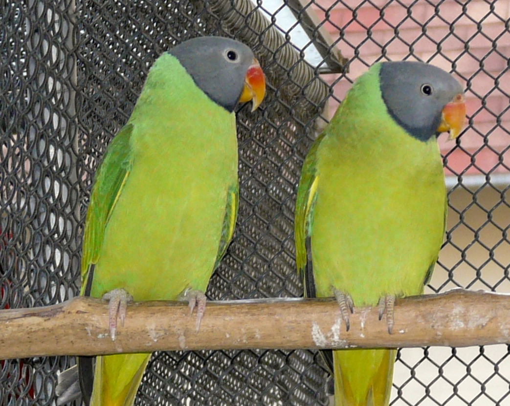 P1470019
