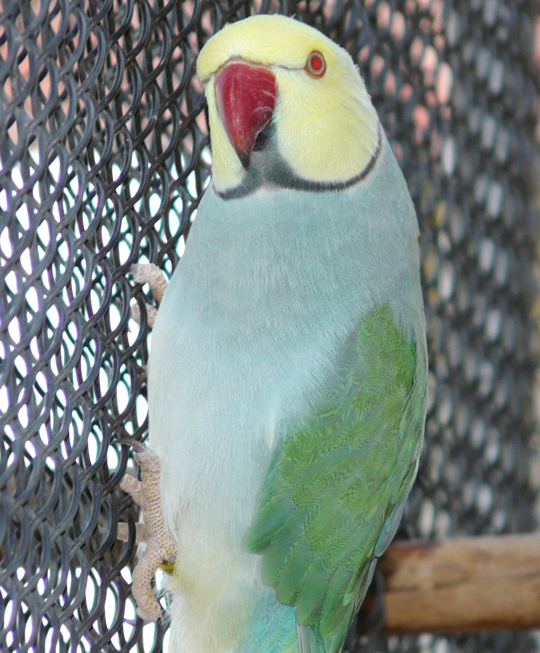 P1410200
